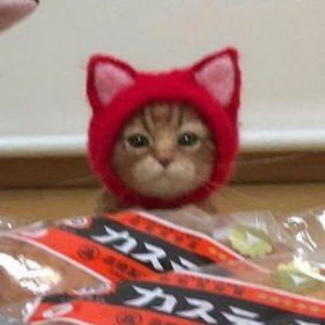 Meet your Posher, Dilasha